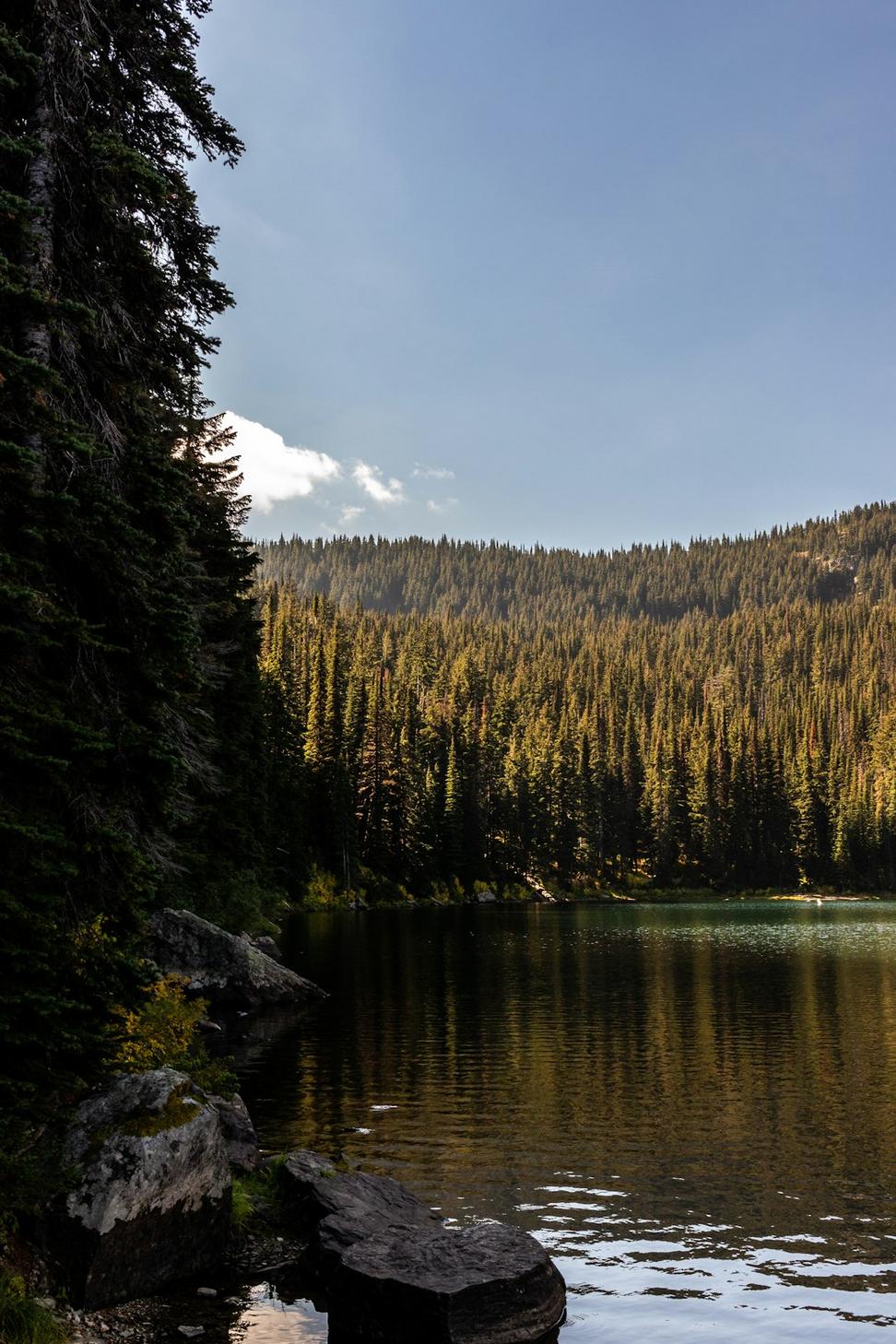 Guided hiking tours